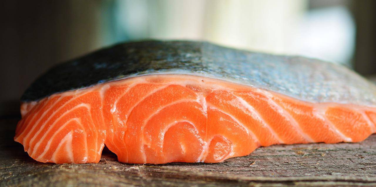 Dürfen Hunde eigentlich Fisch essen? Blog Tales & Tails